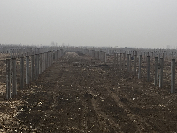 沈阳协鑫光辉农场